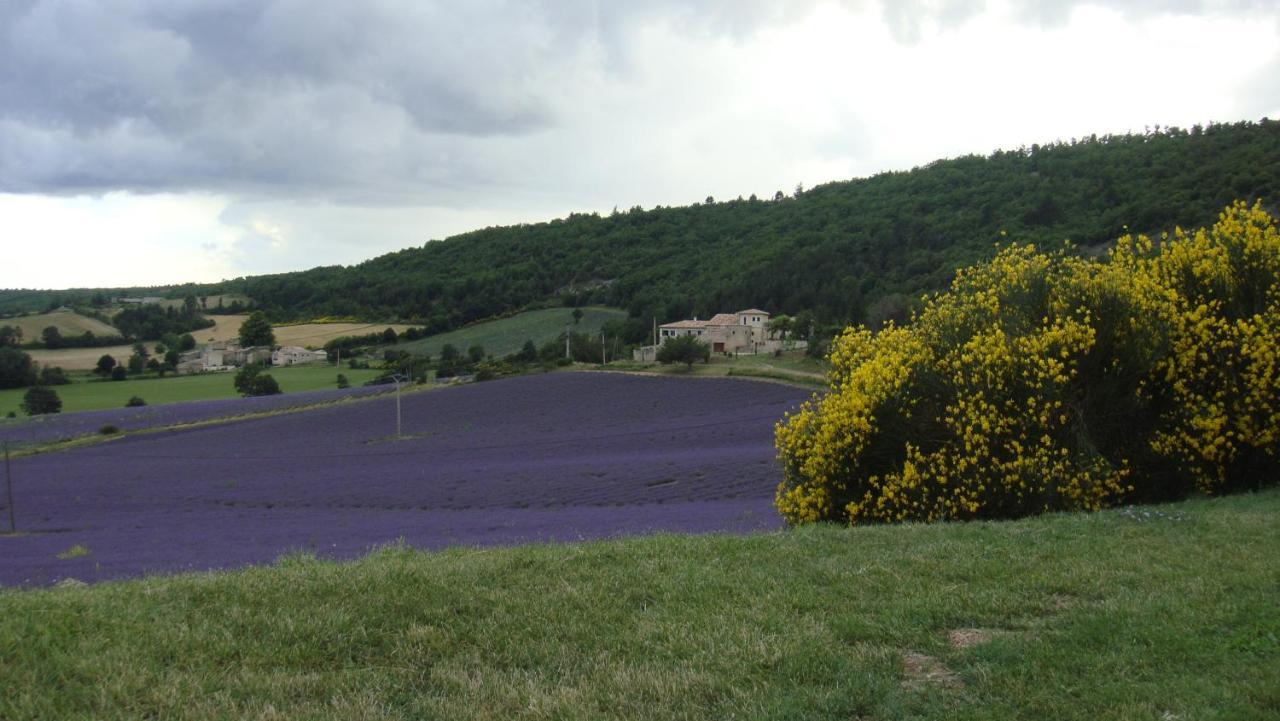 La Maison Bleue Sault-de-Vaucluse Exteriör bild
